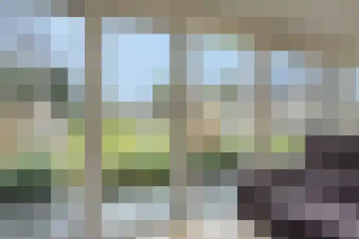 Legerweg 11 Deurne thumbnail 26