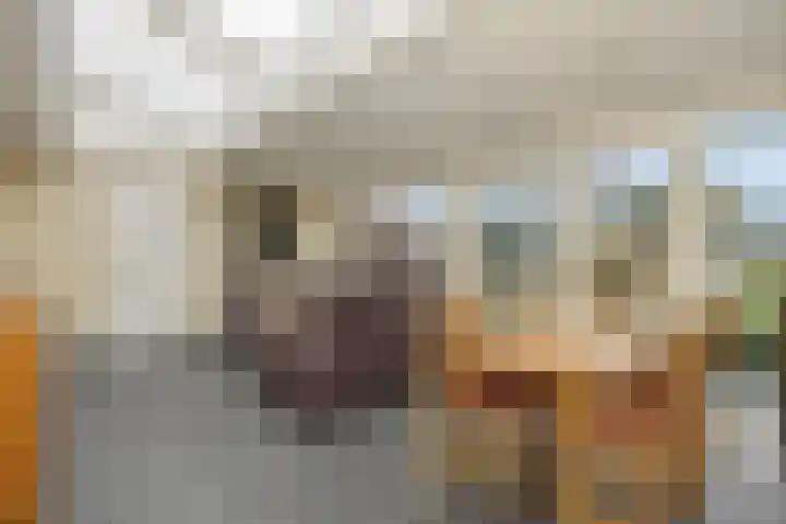 Legerweg 11 Deurne thumbnail 28