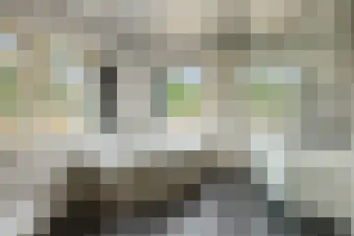 Legerweg 11 Deurne thumbnail 4