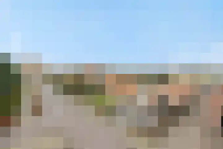 Legerweg 11 Deurne thumbnail 44