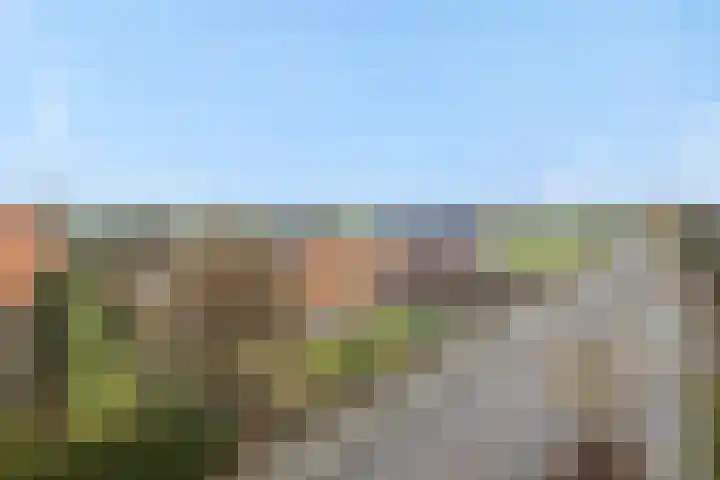 Legerweg 11 Deurne thumbnail 46