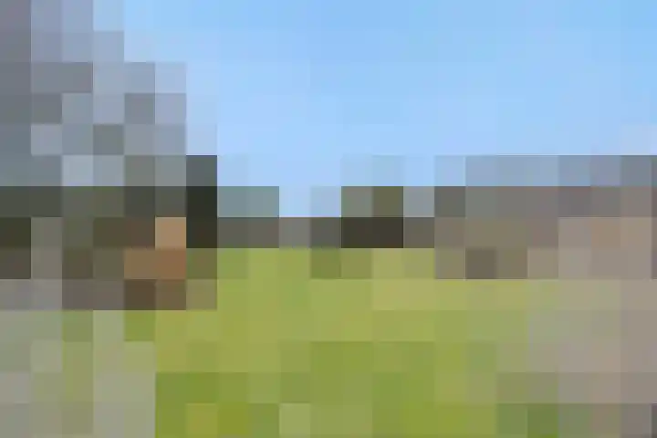 Legerweg 11 Deurne thumbnail 5