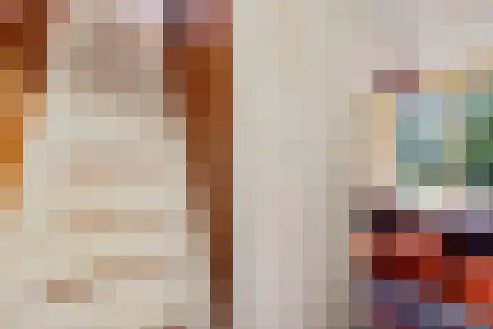 Leggelerstraat 8 Dwingeloo thumbnail 16