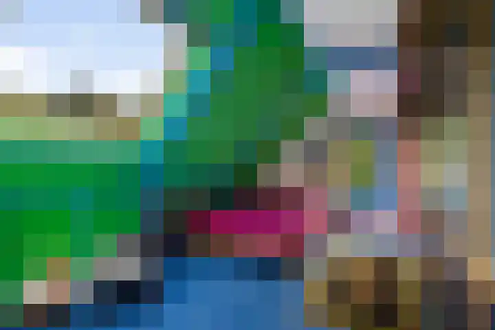 Leggelerstraat 8 Dwingeloo thumbnail 18