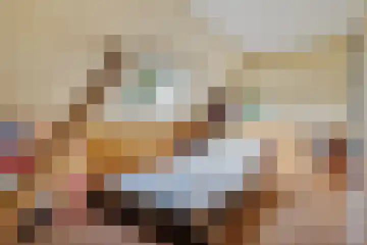 Leggelerstraat 8 Dwingeloo thumbnail 24