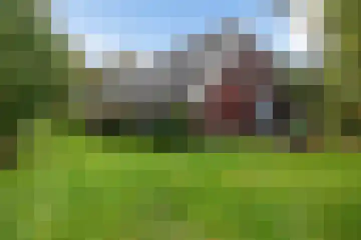 Leggelerstraat 8 Dwingeloo thumbnail 29