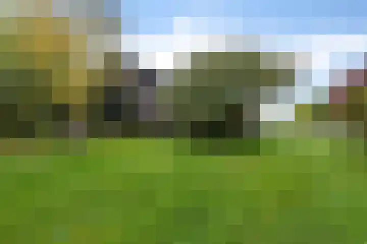 Leggelerstraat 8 Dwingeloo thumbnail 30