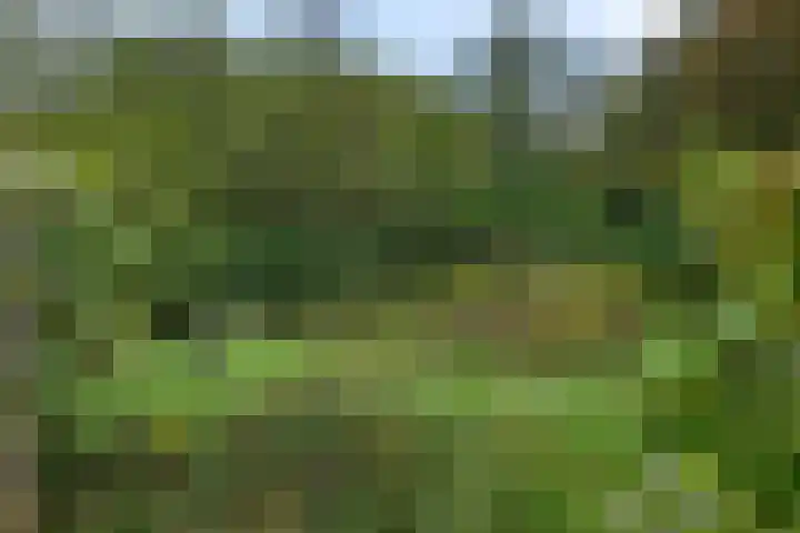 Leggelerstraat 8 Dwingeloo thumbnail 38
