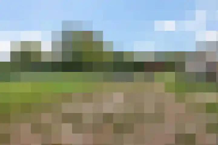 Leggelerstraat 8 Dwingeloo thumbnail 42