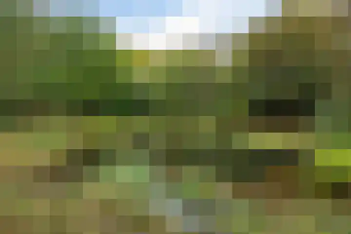 Leggelerstraat 8 Dwingeloo thumbnail 46