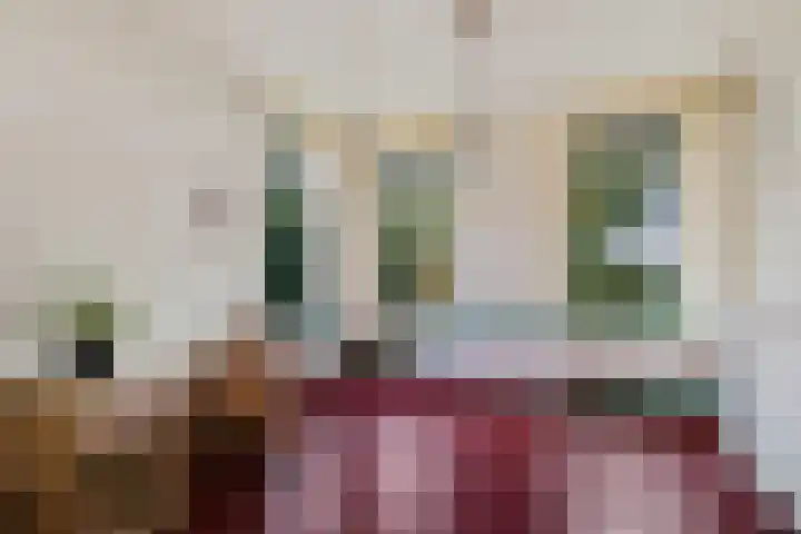 Leggelerstraat 8 Dwingeloo thumbnail 7