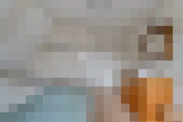 Leggeloo 1 Dwingeloo thumbnail 28