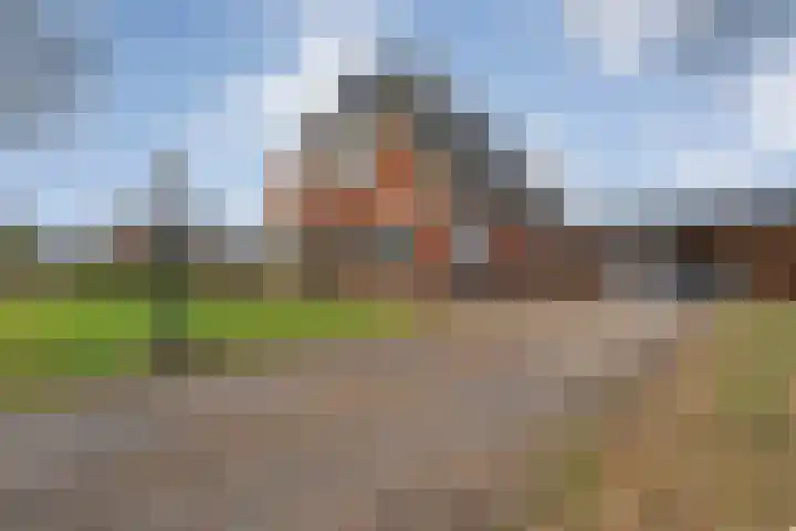 Leggeloo 1 Dwingeloo thumbnail 57