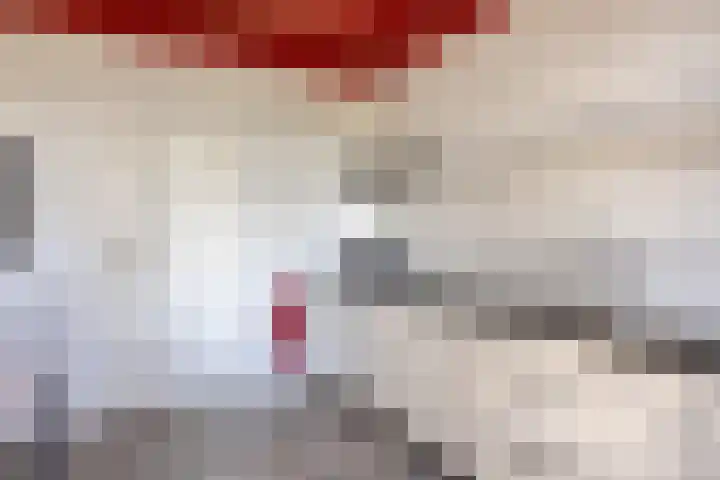 Leggeloo 36 Dwingeloo thumbnail 11