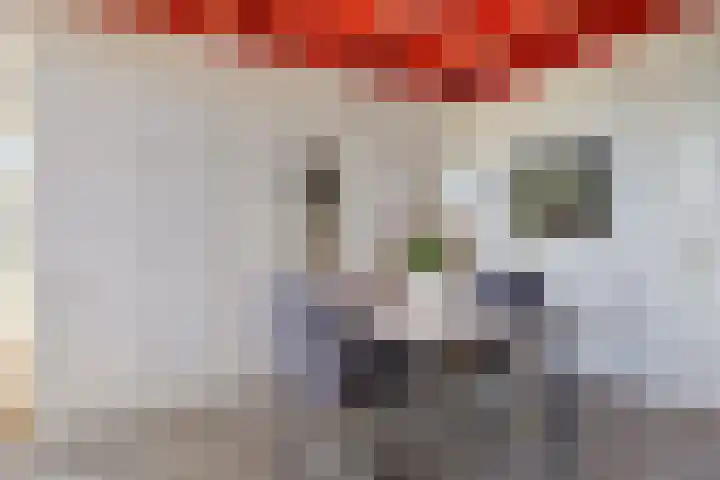 Leggeloo 36 Dwingeloo thumbnail 12