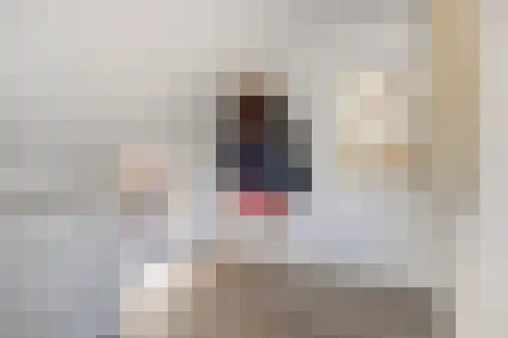 Leggeloo 36 Dwingeloo thumbnail 15