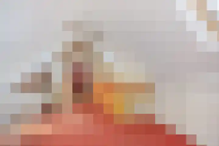 Leggeloo 36 Dwingeloo thumbnail 22