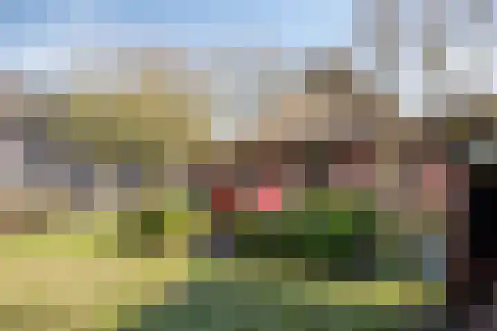 Leggeloo 36 Dwingeloo thumbnail 31