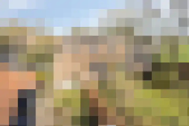 Leggeloo 36 Dwingeloo thumbnail 33