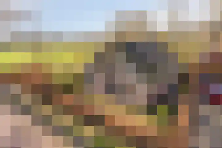 Leggeloo 36 Dwingeloo thumbnail 36