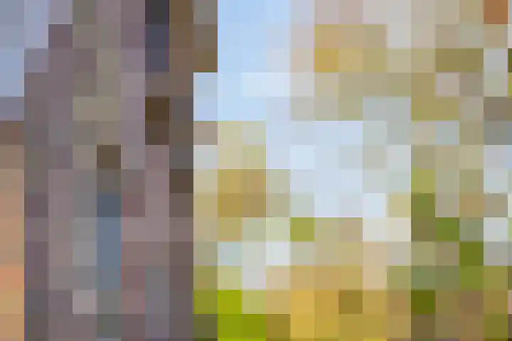 Leggeloo 36 Dwingeloo thumbnail 37
