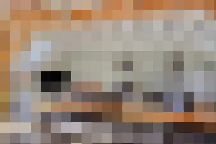 Leggeloo 36 Dwingeloo thumbnail 7