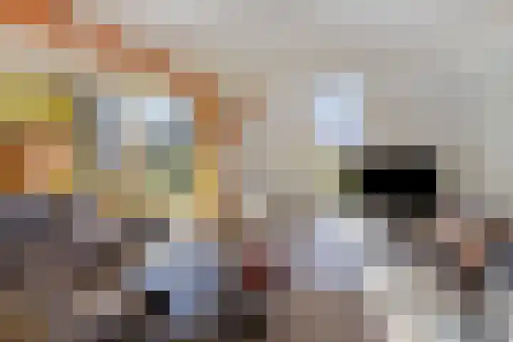 Leggeloo 36 Dwingeloo thumbnail 8