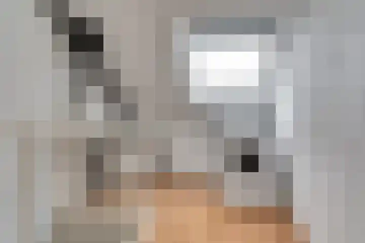 Legioen 57 Elst thumbnail 24
