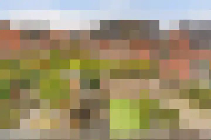 Legioen 57 Elst thumbnail 33