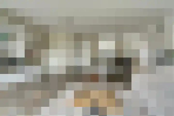 Legioen 57 Elst thumbnail 5