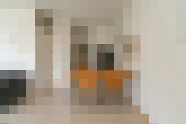 Legioendreef 1 Valkenburg thumbnail 7