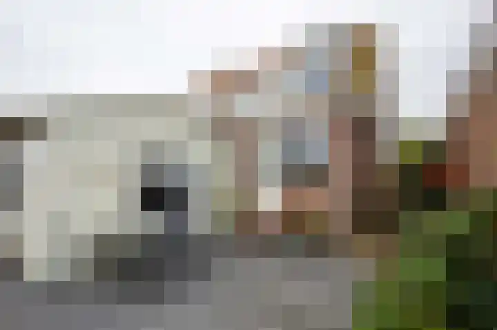 Legmeerdijk 45 Amstelveen thumbnail 20