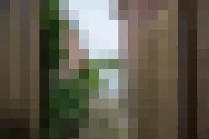 Legmeerdijk 45 Amstelveen thumbnail 21