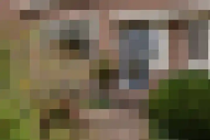 Legmeerdijk 45 Amstelveen thumbnail 5