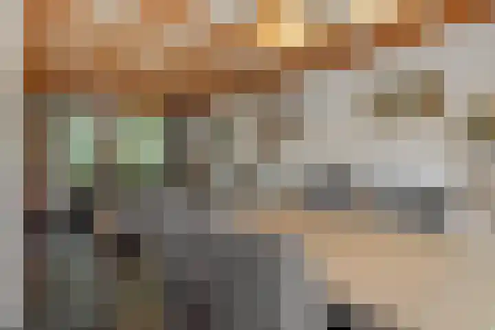 Leharstraat 7 Heesch thumbnail 10