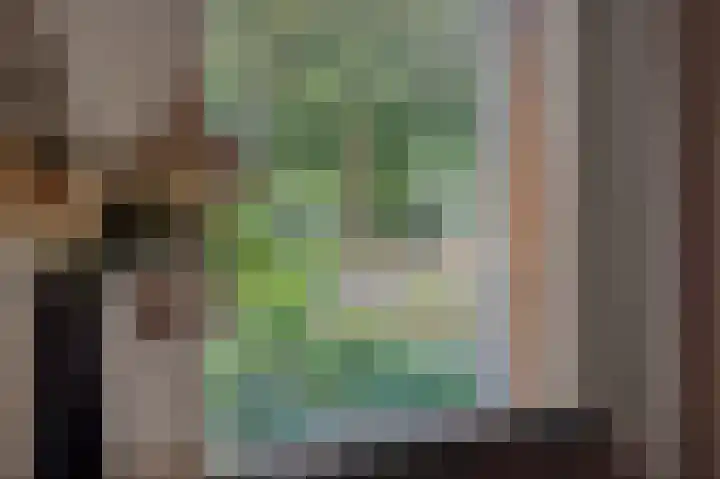 Leharstraat 7 Heesch thumbnail 12