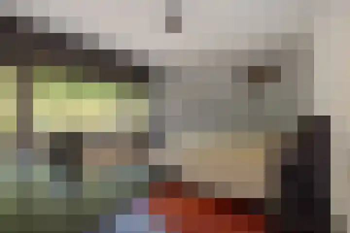 Leharstraat 7 Heesch thumbnail 20