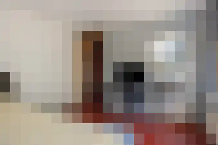 Leharstraat 7 Heesch thumbnail 21