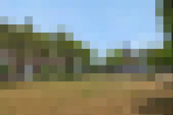 Leharstraat 7 Heesch thumbnail 36