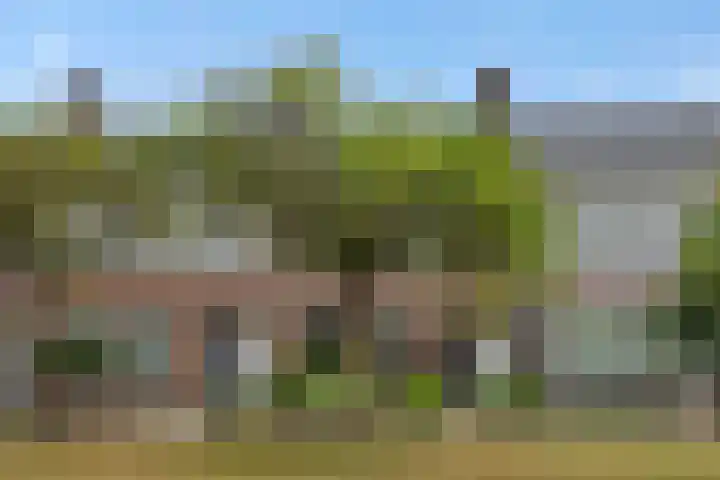 Leharstraat 7 Heesch thumbnail 38