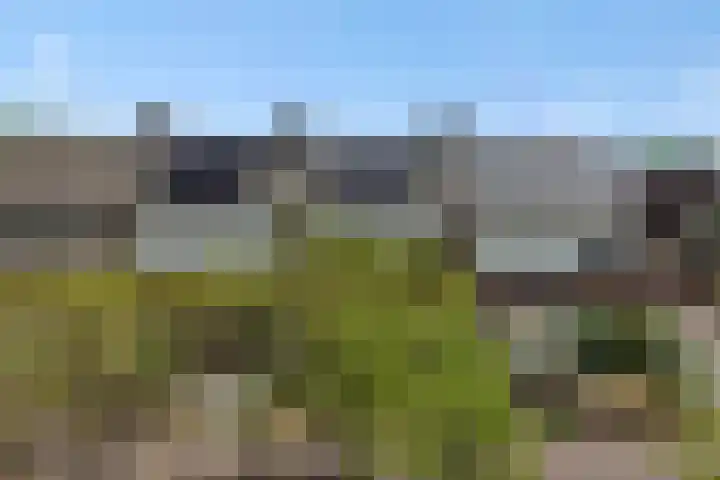Leharstraat 7 Heesch thumbnail 42