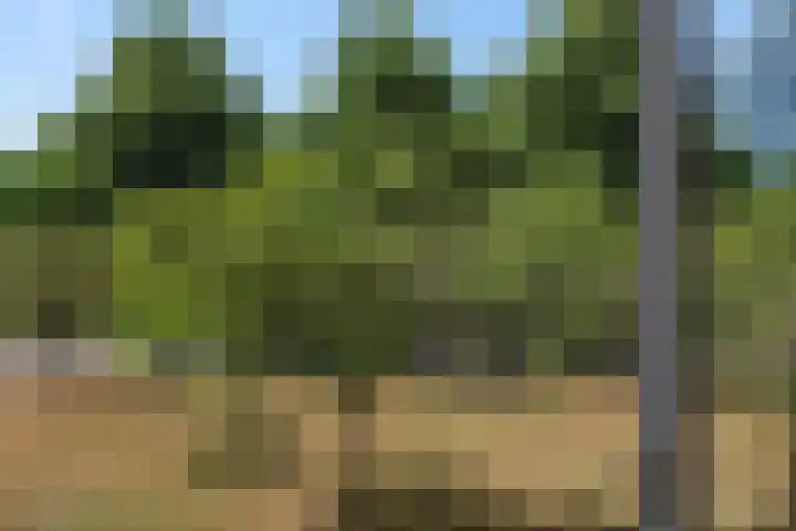 Leharstraat 7 Heesch thumbnail 45