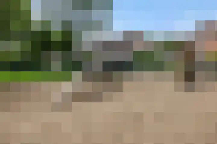 Leharstraat 7 Heesch thumbnail 47