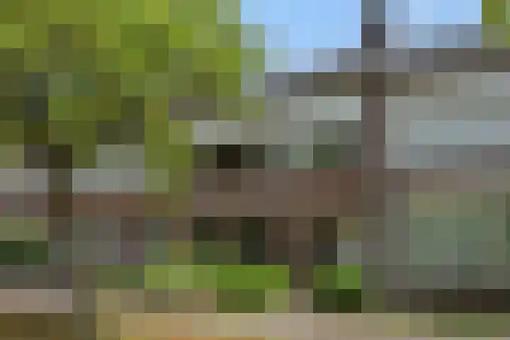 Leharstraat 7 Heesch thumbnail 48
