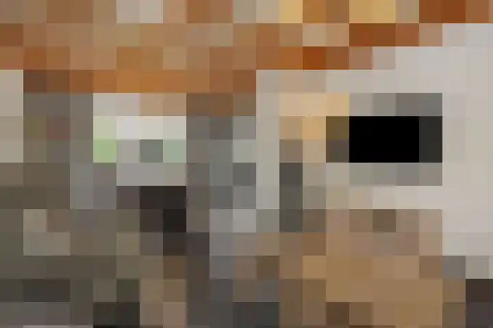 Leharstraat 7 Heesch thumbnail 5