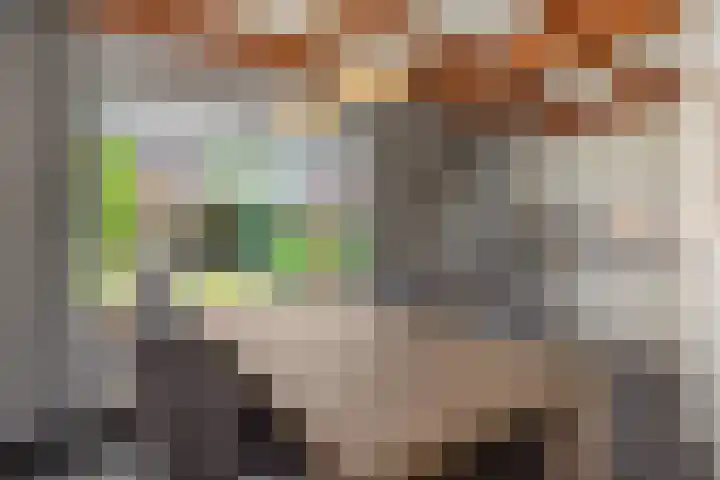 Leharstraat 7 Heesch thumbnail 6
