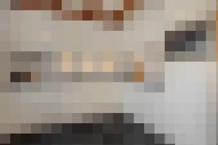 Leharstraat 7 Heesch thumbnail 8