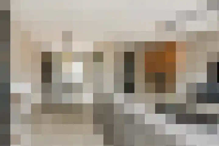 Leibeemd 146 Rijen thumbnail 13