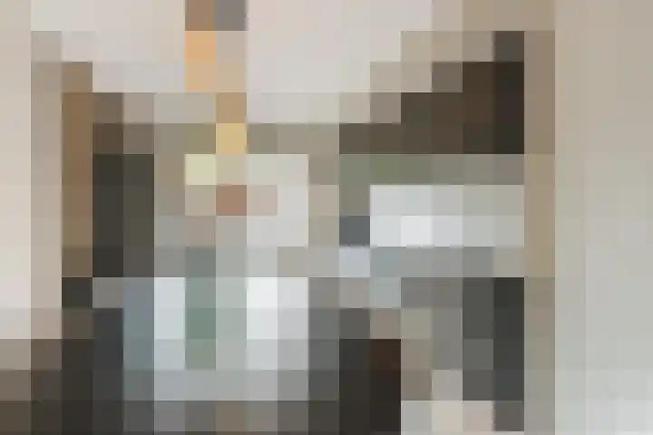 Leibeemd 146 Rijen thumbnail 15