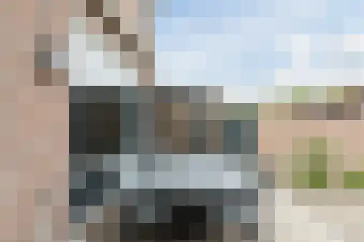 Leibeemd 146 Rijen thumbnail 18